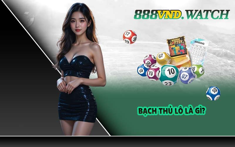 Bạch thủ lô là gì?